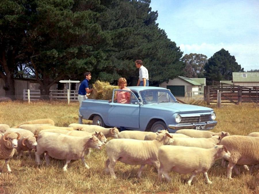  Holden Ute 1963 года  (фото 2 из 2)